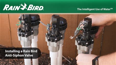 rain bird anti siphon valve leaking|Rain Bird Residential Valve Troubleshooting: Using the Bleed